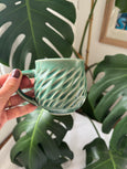 Handmade Ceramic Mugs