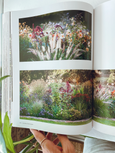 Book - Australian Dreamscapes